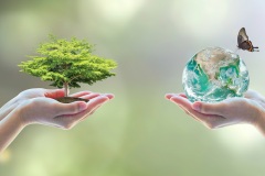 Tree planting and earth on volunteer's hands for World environment day concept. Element of this image furnished by NASA